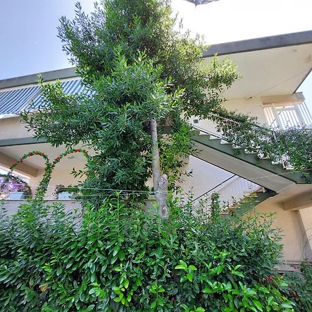 Casa Di Sofia Otel Castellana Grotte Dış mekan fotoğraf