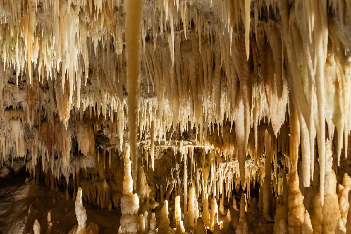 Casa Di Sofia Otel Castellana Grotte Dış mekan fotoğraf